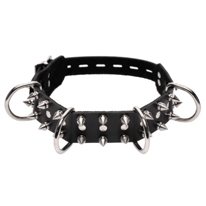 Picture of Strict Leather Spiked Dog Collar