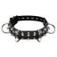 Picture of Strict Leather Spiked Dog Collar
