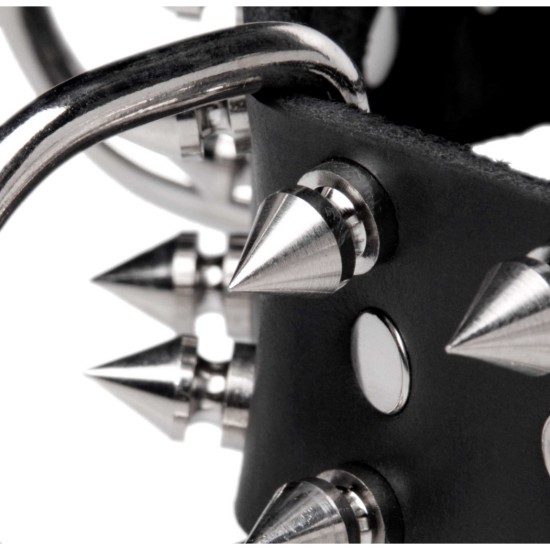 Picture of Strict Leather Spiked Dog Collar