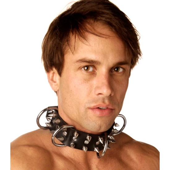Picture of Strict Leather Spiked Dog Collar