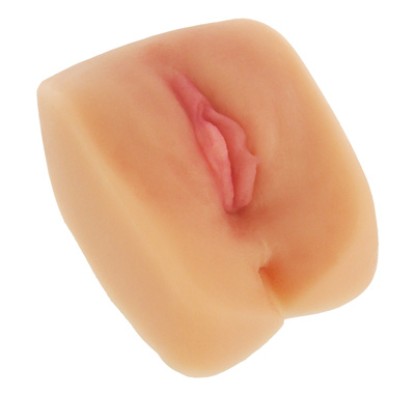 Picture of CyberSkin Pussy and Ass