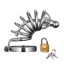 Picture of Asylum 6 Ring Locking Chastity Cage