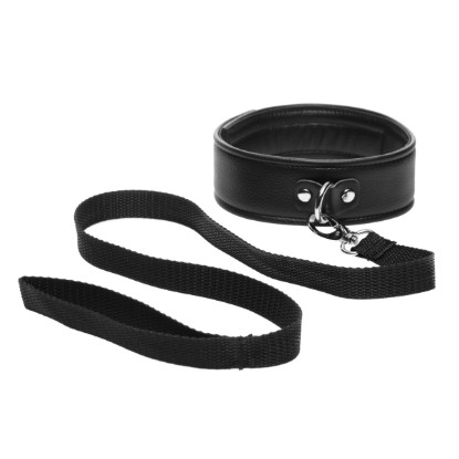 Picture of Frisky Beginner Leash and Collar set