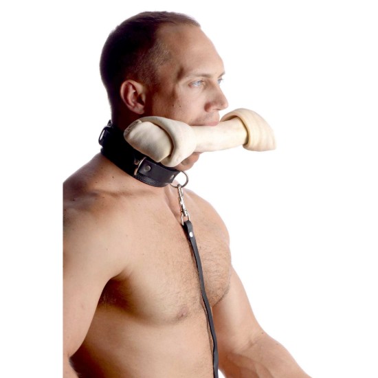 Picture of Sick Puppy Leash and Collar Kit