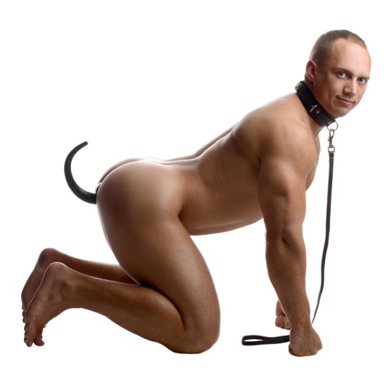 Picture of Sick Puppy Leash and Collar Kit