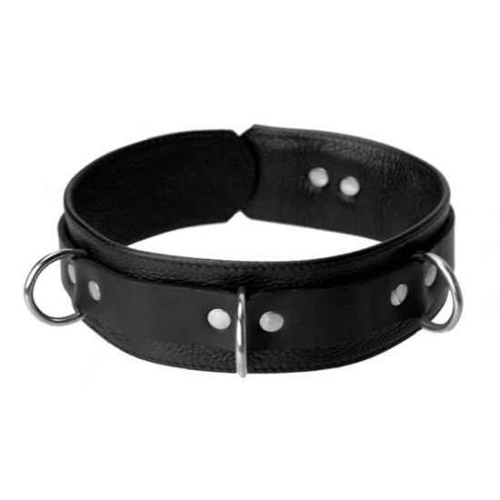 Picture of Sick Puppy Leash and Collar Kit