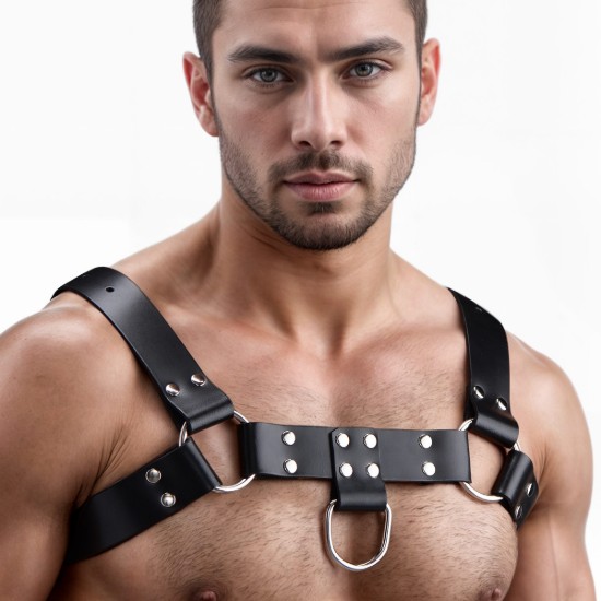 Picture of English Bull Dog Harness