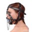 Picture of Plug It Up Leather Head Harness with Mouth Gag