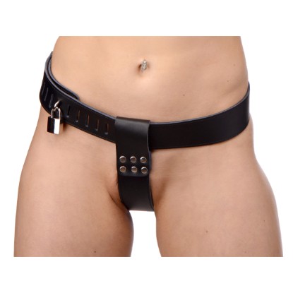 Picture of Adjustable Female Chastity Belt