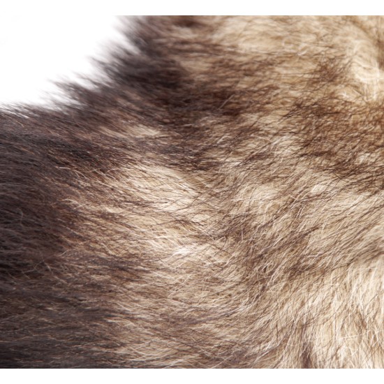 Picture of Untamed XL Fox Tail Anal Plug