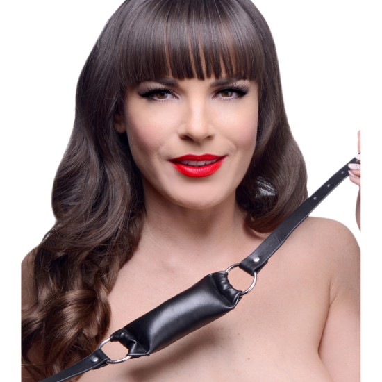 Picture of Padded Pillow Mouth Gag