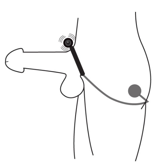 Picture of Odyssey Vibrating Cock Ring with Anal Stimulator