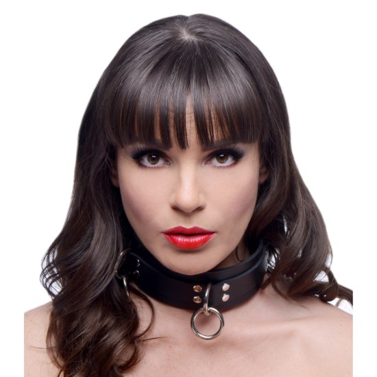 Picture of Complete Restraint Bondage Kit with Connectors