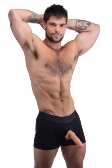 Picture of Boxer Style Packing Harness Briefs- MediumLarge