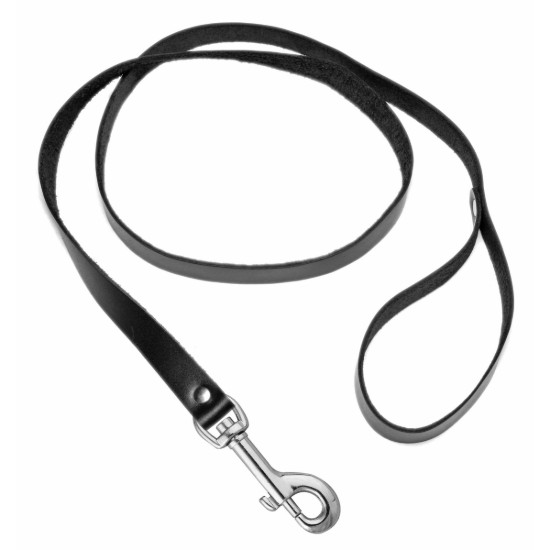 Picture of Lead Them by the Nose Shackle and Leash Kit