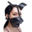 Picture of Pup Puppy Play Hood and Breathable Ball Gag