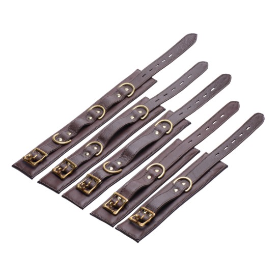 Picture of Brown 5 Piece Locking Leather Bondage Set