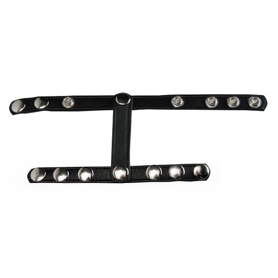 Picture of Snap-On Cock and Ball Harness