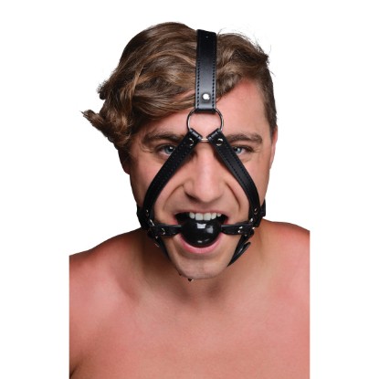 Picture of Head Harness with inch Ball Gag