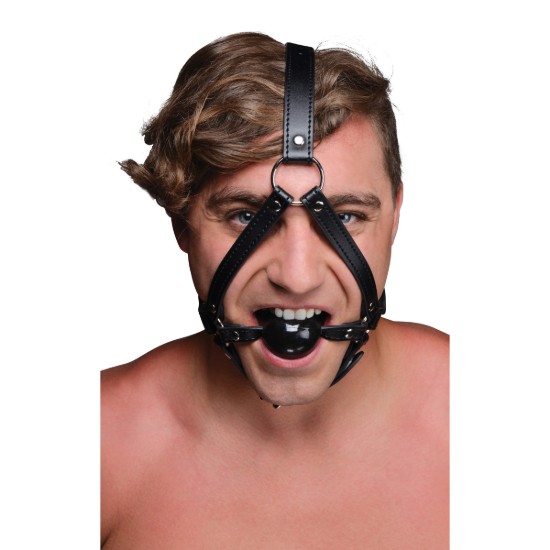 Picture of Head Harness with inch Ball Gag