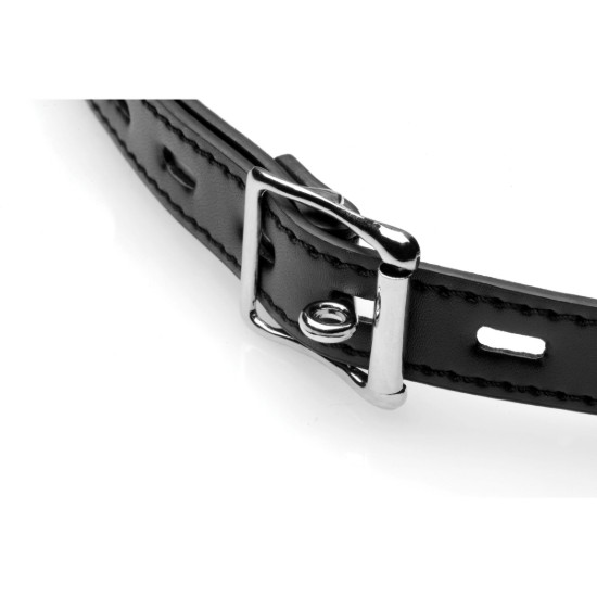 Picture of Silicone Ball Gag with Nipple Clamps