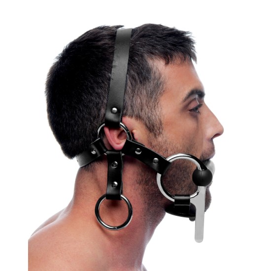 Picture of Steed Silicone Bit and Bridle Head Harness
