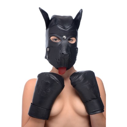 Picture of Strict Leather Premium Puppy Play Set