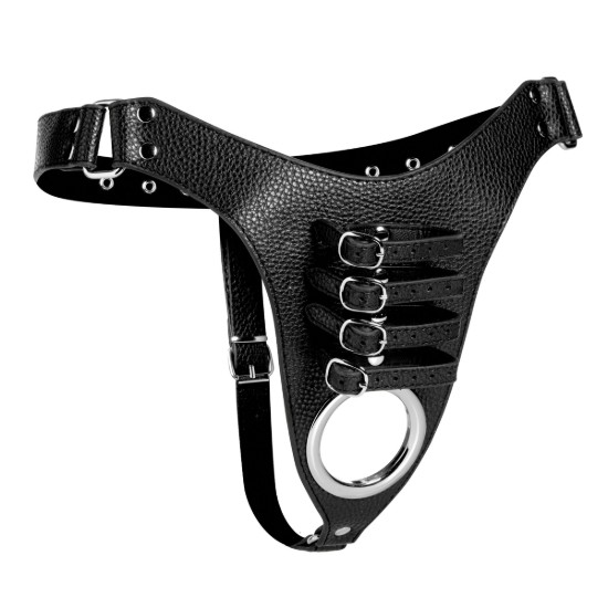 Picture of Male Chastity Harness