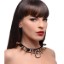 Picture of Stainless Steel Spiked Slave Collar