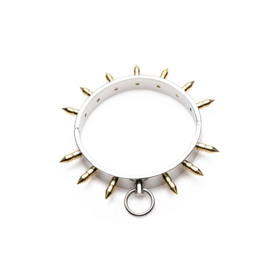 Picture of Stainless Steel Spiked Slave Collar