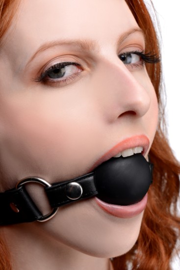 Picture of Interchangeable Silicone Ball Gag Set