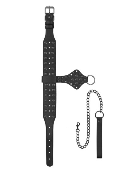 Picture of Deluxe Spiked Collar With Leash