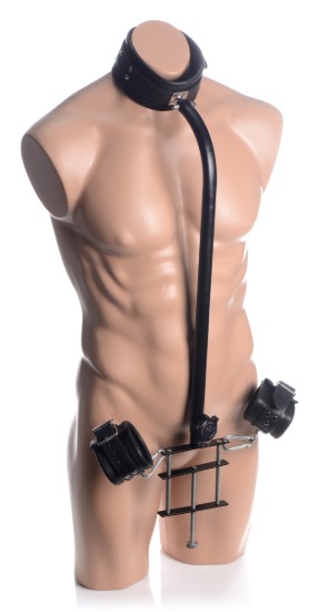 Picture of Penis Pillory