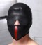 Picture of Scorpion Hood With Removable Blindfold and Face Mask