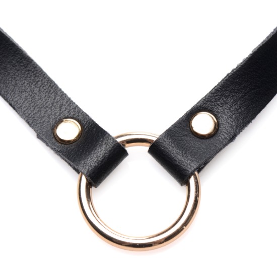 Picture of Posh Pet Gold Ring Slim Choker