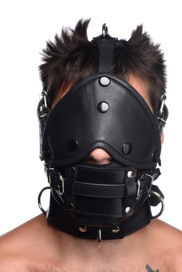 Picture of Leather Head Harness with Removeable Gag