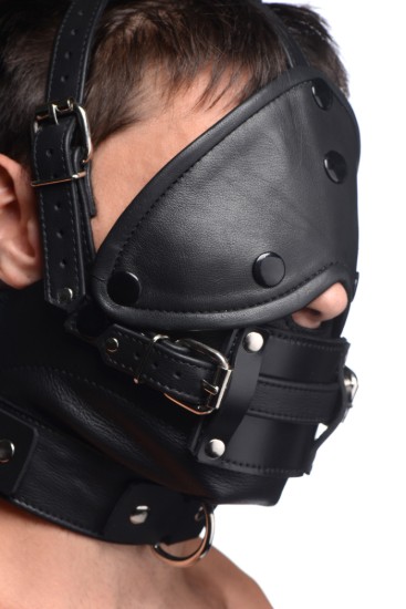 Picture of Leather Head Harness with Removeable Gag