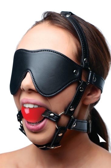 Picture of Blindfold Harness and Red Ball Gag