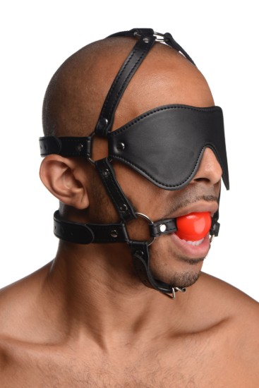 Picture of Blindfold Harness and Red Ball Gag