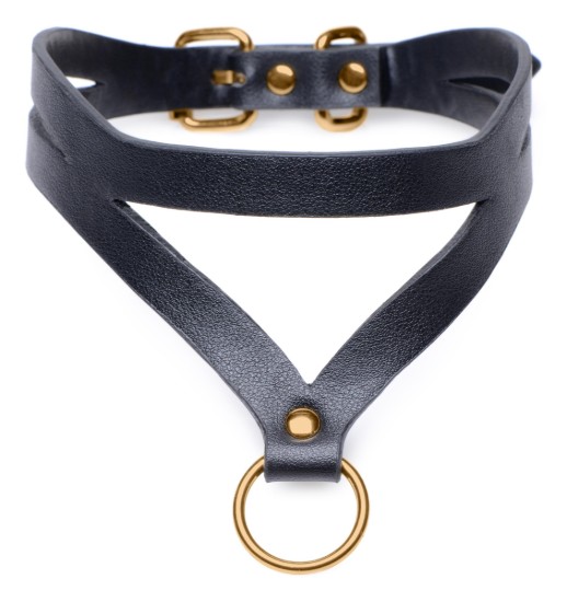 Picture of Bondage Baddie Black and Gold Collar with O-Ring