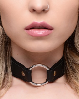 Picture of O-Ring Collar