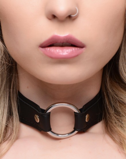 Picture of O-Ring Collar