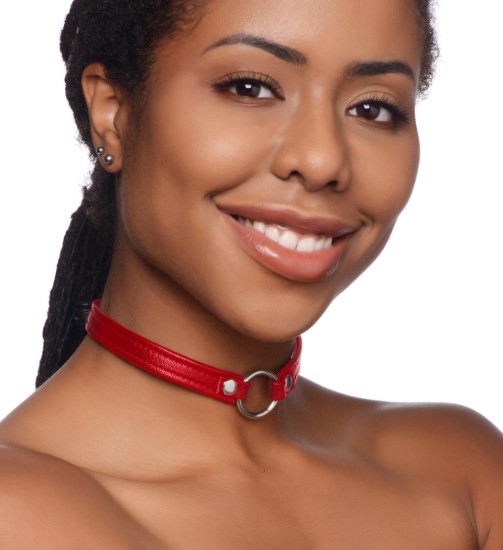 Picture of Fiery Pet Leather Choker with Silver Ring