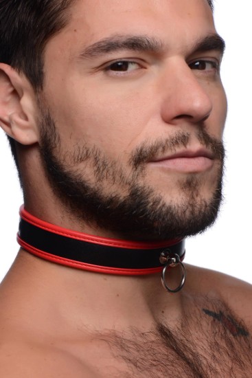 Picture of Scarlet Pet Red Collar with O-Ring