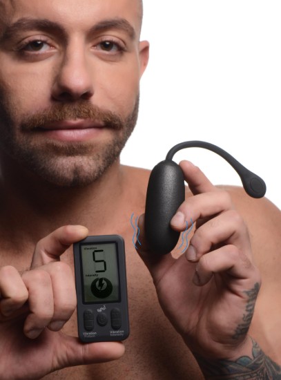 Picture of 25X Platinum Series Plush Egg with Digital Remote Control