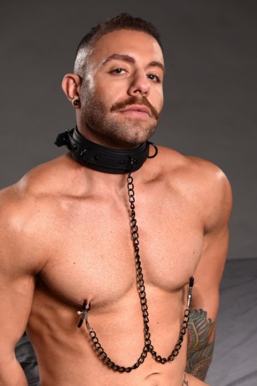 Picture of Collared Temptress Collar with Nipple Clamps