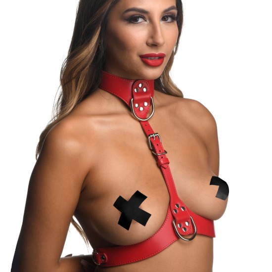 Picture of Red Female Chest Harness- Medium/Large