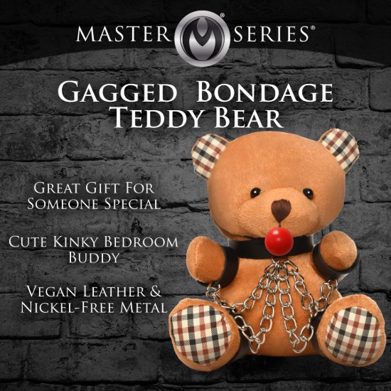 Picture of Gagged Bondage Teddy Bear