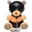 Picture of Hooded Bondage Teddy Bear