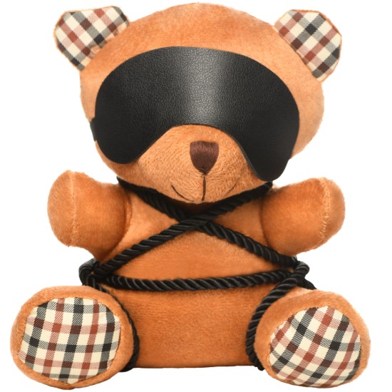 Picture of Rope Bondage Teddy Bear